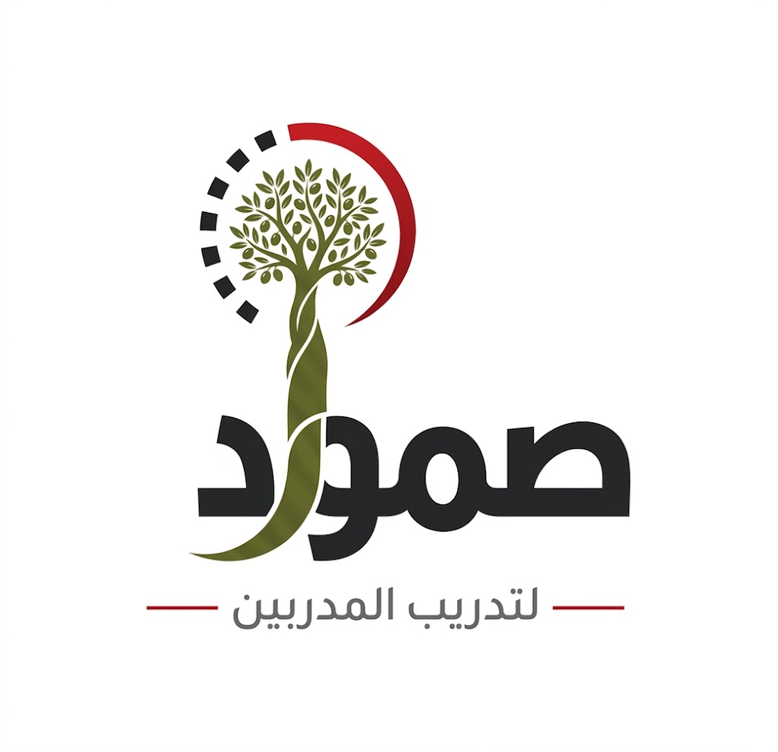 برنامج صمود